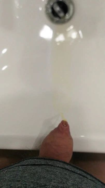 Sink Piss Gay Amateur Amateur Porn XHamster