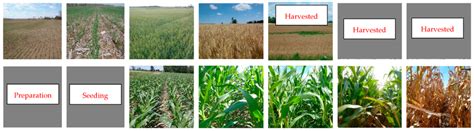 field    main crop types   study site  selected