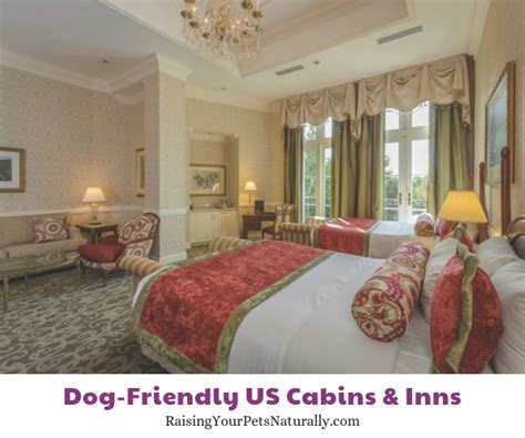 The Best Dog-Friendly Cottages, Lodges, Cabins, and B&B Resorts in the ...