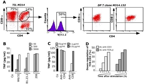 A Distribution Of Cd T Cells Subsets Based On Cd Cd In The M