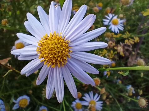 Обзор смартфона Realme 6s