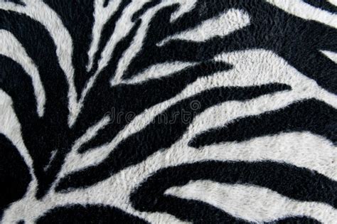 Texture Of Print Fabric Stripes Zebra For Background Stock Image