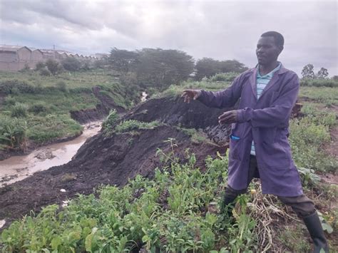 Farmers Count Losses After Floods Destroy Crops In Machakos