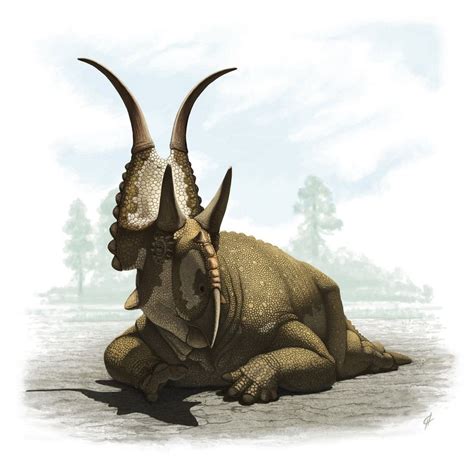 Diabloceratops, Late Cretaceous (79 Ma), Marginocephalia (ceratopsian ...