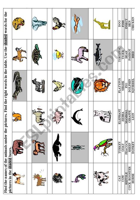 Animals Esl Worksheet By Minka