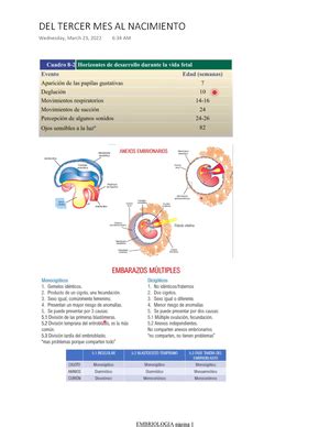 Sistema Nervioso Resumen Langman Sistema Nervioso Central Aparece