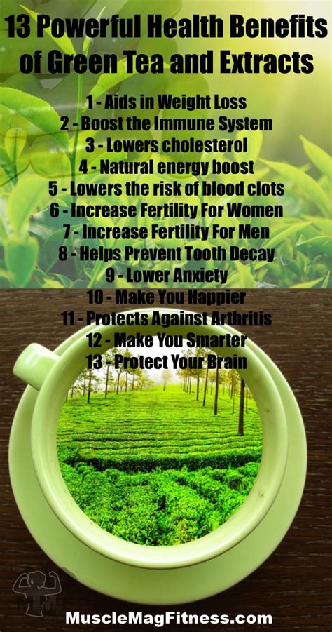 13 Powerful Health Benefits of Green Tea Extract