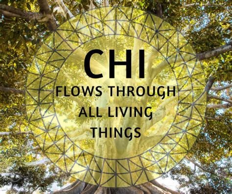 How To Harness The Power Of Chi Energy Remedygrove