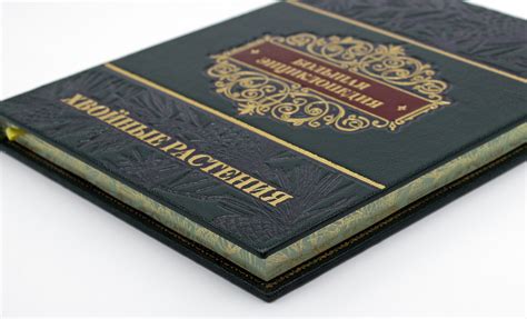 Большая энциклопедия Хвойные растения в кожаном переплете