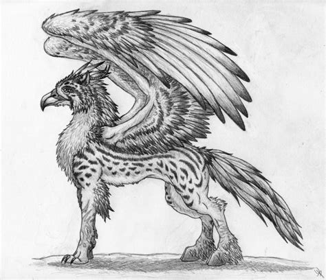 Guardavin Gryphon Mythical Creatures Drawings Creature Drawings