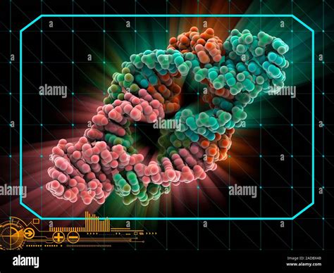 Molecular Model Of An All Rna Hammerhead Ribozyme Ribozymes Are Rna