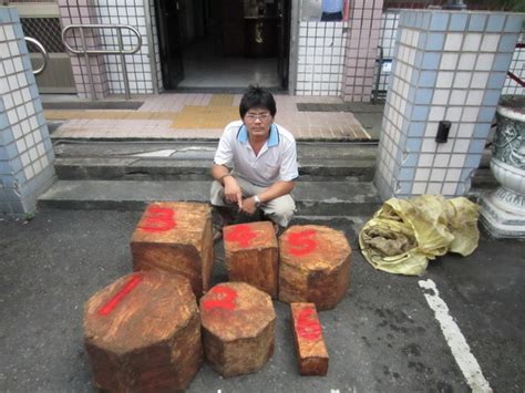 警方聯手 凌霄殿破獲山老鼠集團