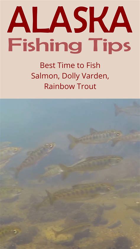 Best Time To Fish In Alaska Species Artofit