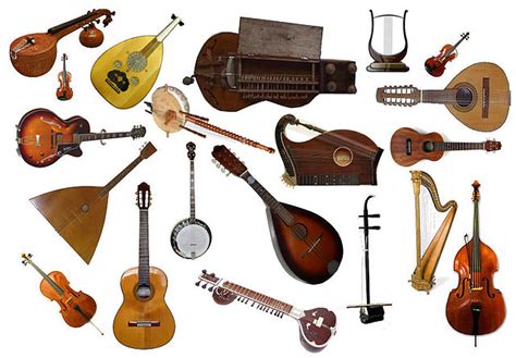 word meaning    guitar neck called  neck english language