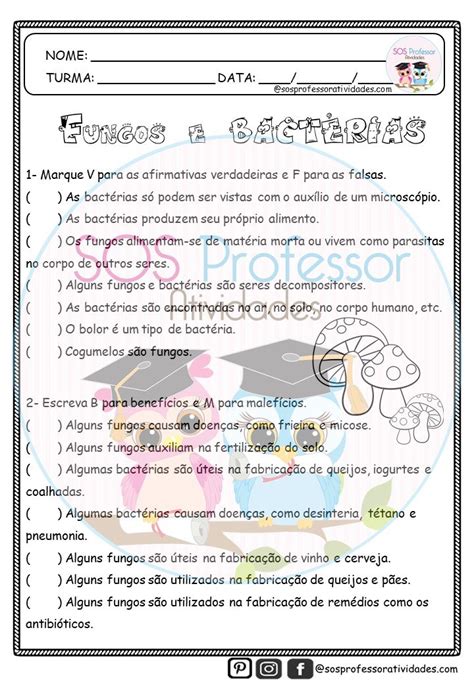 Fungos e bactérias SOS Professor Atividades 4º ano