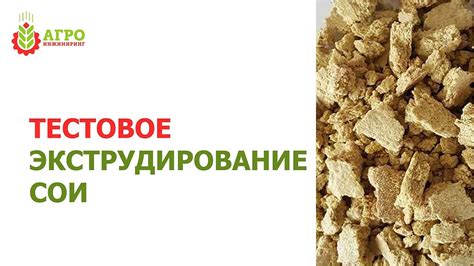 Экструдирование сои на экструдере ES-380-Vibro - YouTube