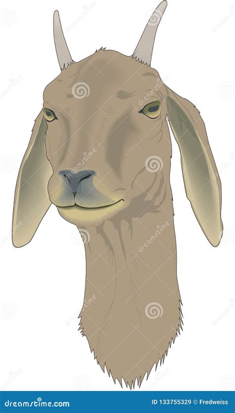 Billy Goat Cartoon Illustration | CartoonDealer.com #133755599