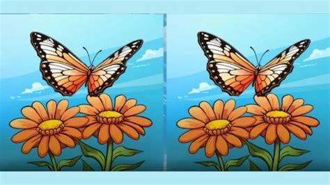 optical illusion spot  difference game    eagle eyes find