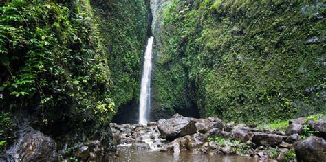 Sacred Falls Oahu Activit S Estivales Le Meilleur De