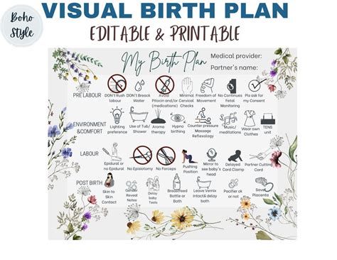 VISUAL BIRTH PLAN ,birth Plan Printable,natural Birth Preference Canva ...