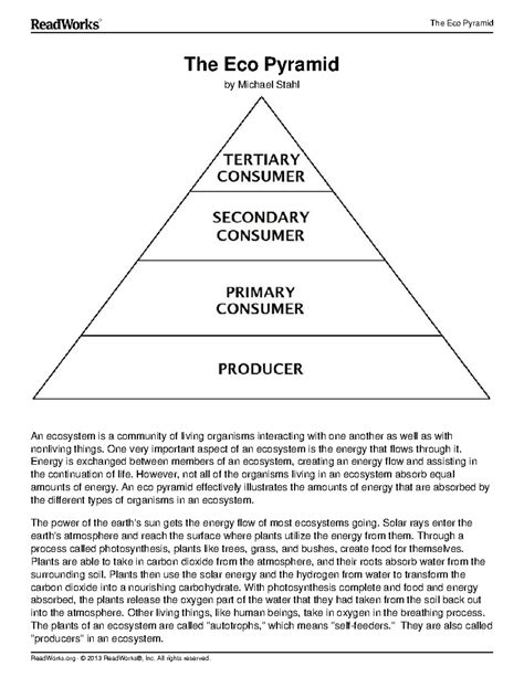 7th Reading Energy Pyramid The Eco Pyramid The Eco Pyramid By Michael Stahl An Ecosystem Is A