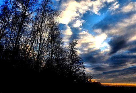 morning sky  behance