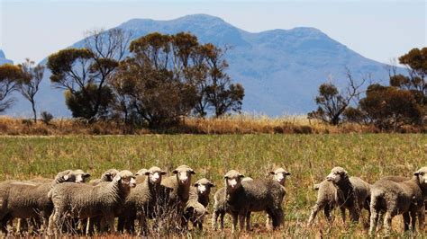 Who Owns Australias Farms Revealed In New Investigation Herald Sun