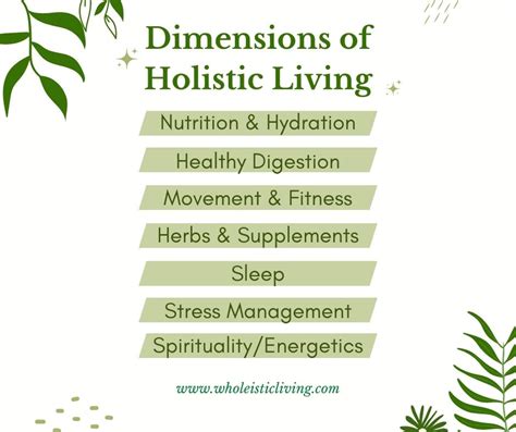 Holistic Living What It Means What It Entails Jenna Volpe RDN LD