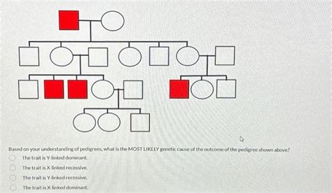 Solved Based On Your Understanding Of Pedigrees What Is The Chegg