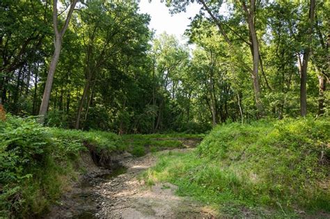 Cleveland Metroparks Restoring Garfield Park Pond To Early 20th Century