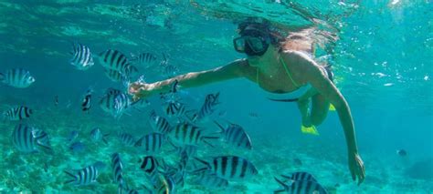 Cabo Snorkeling - Visit Los Cabos - Best Snorkeling Spots in Cabo San Lucas