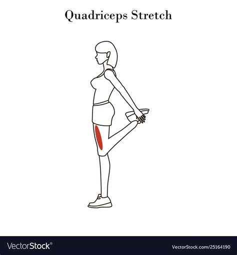 Quad Stretching Exercises