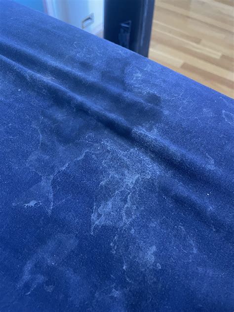 Always Horny And Lazy R Cumstained