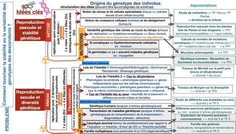 Lorigine Du G Notype Des Individus Sciences De La Vie Et De La Terre