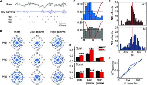 Alteration In Phase And Firing Encoding Of MPFC Principal Neurons In KI