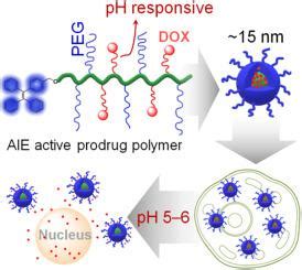 具有聚集诱导发射的可降解 pH 响应聚合物前药胶束用于细胞成像和癌症治疗 Reactive Functional Polymers X MOL