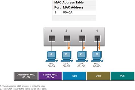 Steril Sahte Tercih Etmek Switch Cam Table Itirazc Ayr Ca Temel Teori