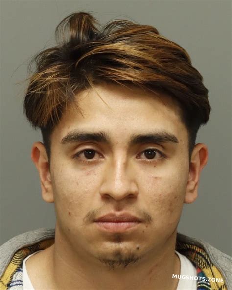 ROJAS NAVARRETE IGNACIO 05 18 2024 Wake County Mugshots Zone