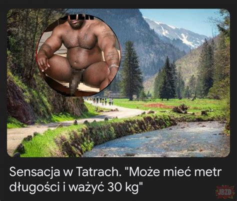 Wiadomo O Co Chodzi