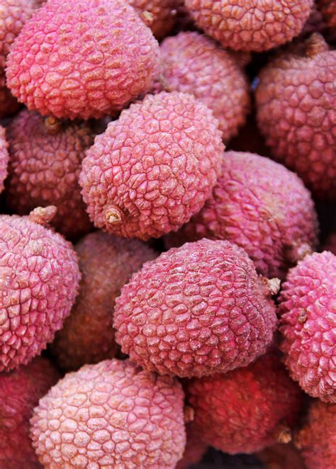 Sweetheart Lychee 3 5 Ft Tropical Fruit Tree Sow Exotic