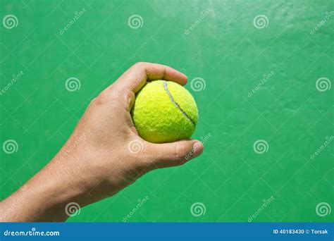 Hand Holding Tennis Ball Stock Photo Image Of Tennis