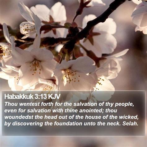 Habakkuk 3 13 KJV Thou Wentest Forth For The Salvation Of Thy