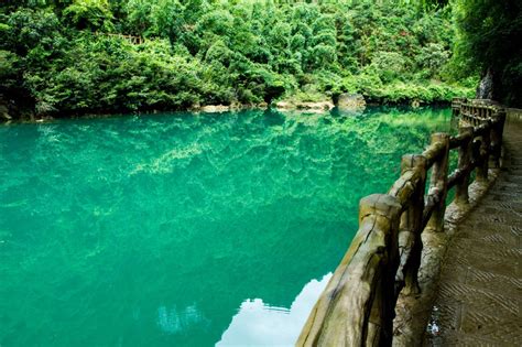 A mysterious green gem - Libo - China.org.cn