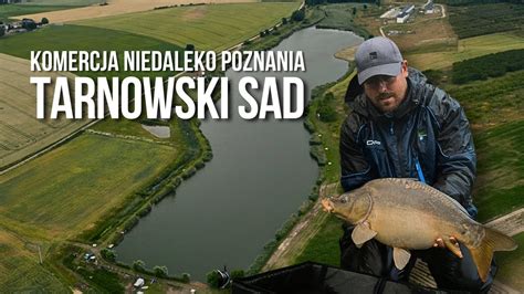 Tarnowski Sad Komercja Niedaleko Poznania Youtube