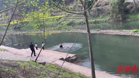 奋不顾身！凤凰一退役军人勇救落水女童 湘西 新湖南