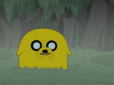 Jake The Dog Sad 