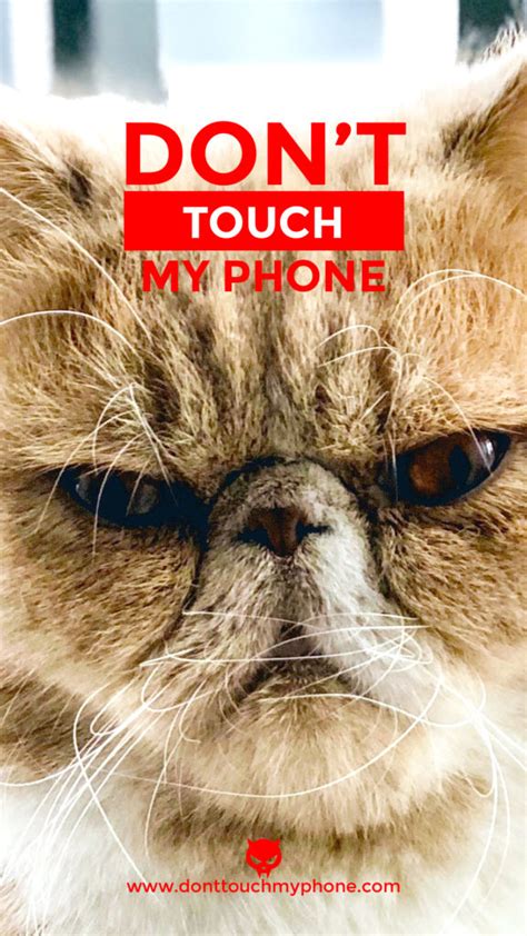 Cute Wallpapers Dont Touch My Phone Donttouchmyphone Lucu Iphones Androids Wallbazar