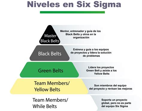 Lean Six Sigma Sprinteam Consulting