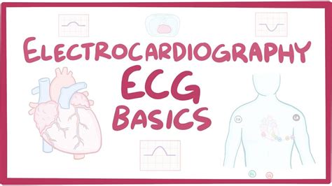 Ecg Basics Video Causes And Meaning Osmosis