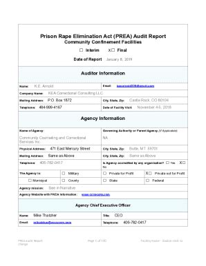 Fillable Online CCP E Final PREA Audit Report PDF Fax Email Print